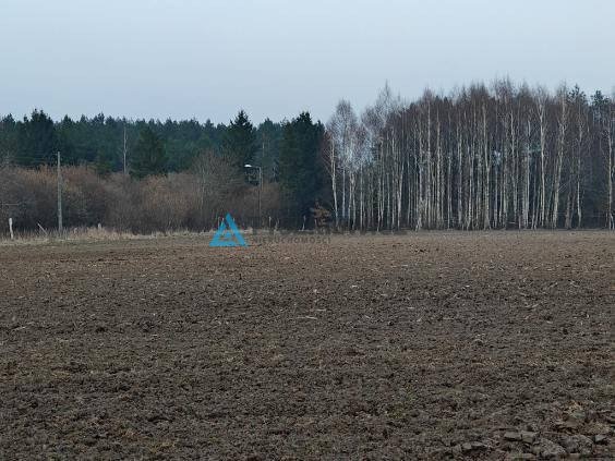 Działka budowlana na sprzedaż Szczenurze  3 000m2 Foto 1