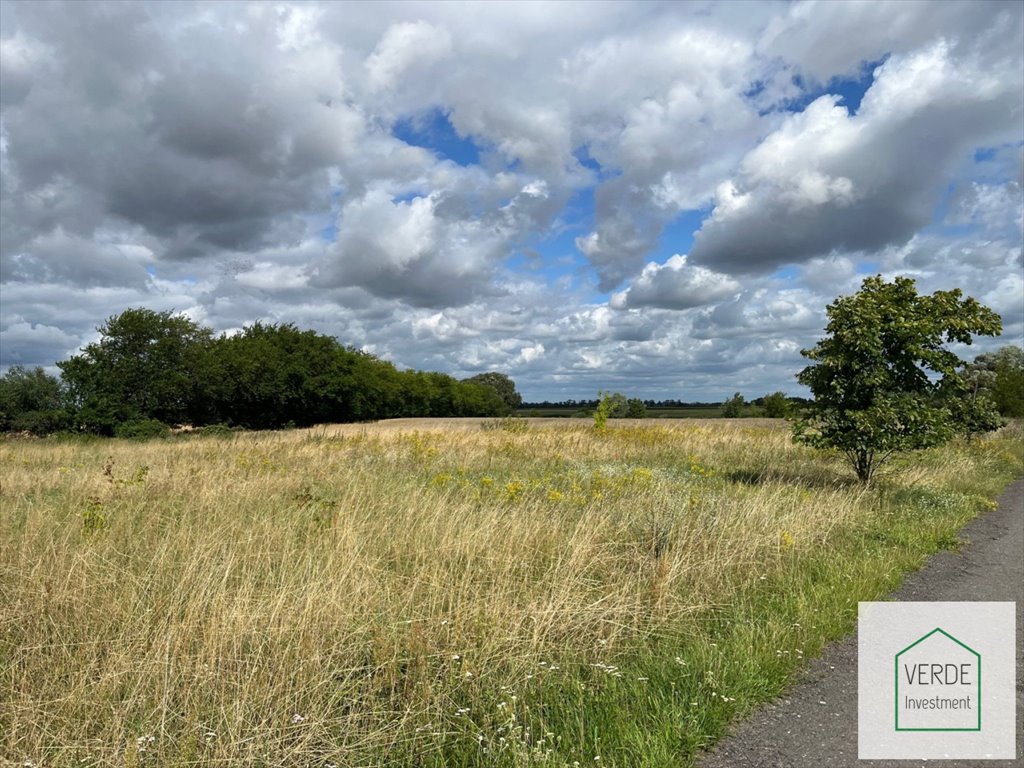 Działka przemysłowo-handlowa na sprzedaż Chludowo, Chludowo, Szosa Poznańska  1 250m2 Foto 7