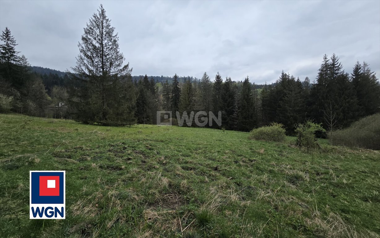 Działka budowlana na sprzedaż Wisła, Głębce  6 599m2 Foto 10