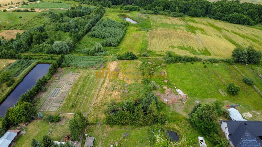 Działka inwestycyjna na sprzedaż Pigany  2 600m2 Foto 7