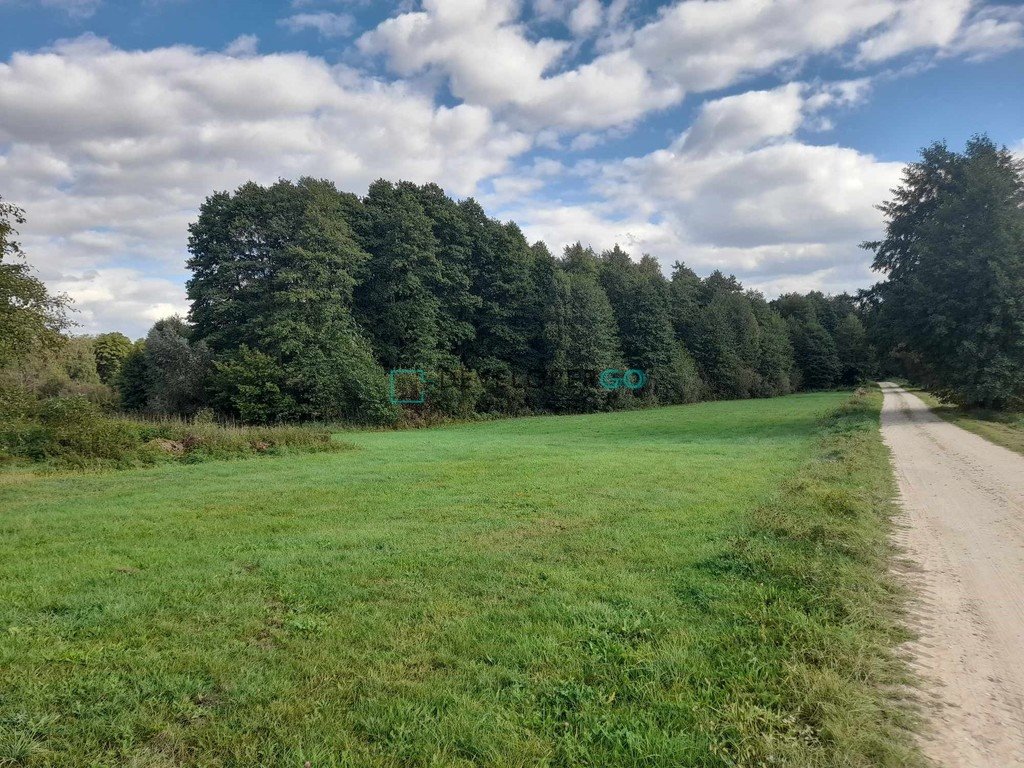 Działka rolna na sprzedaż Brzezienko  8 800m2 Foto 1