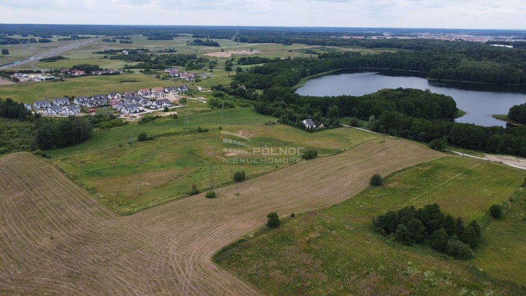 Działka inwestycyjna na sprzedaż Szczęsne  65 300m2 Foto 4