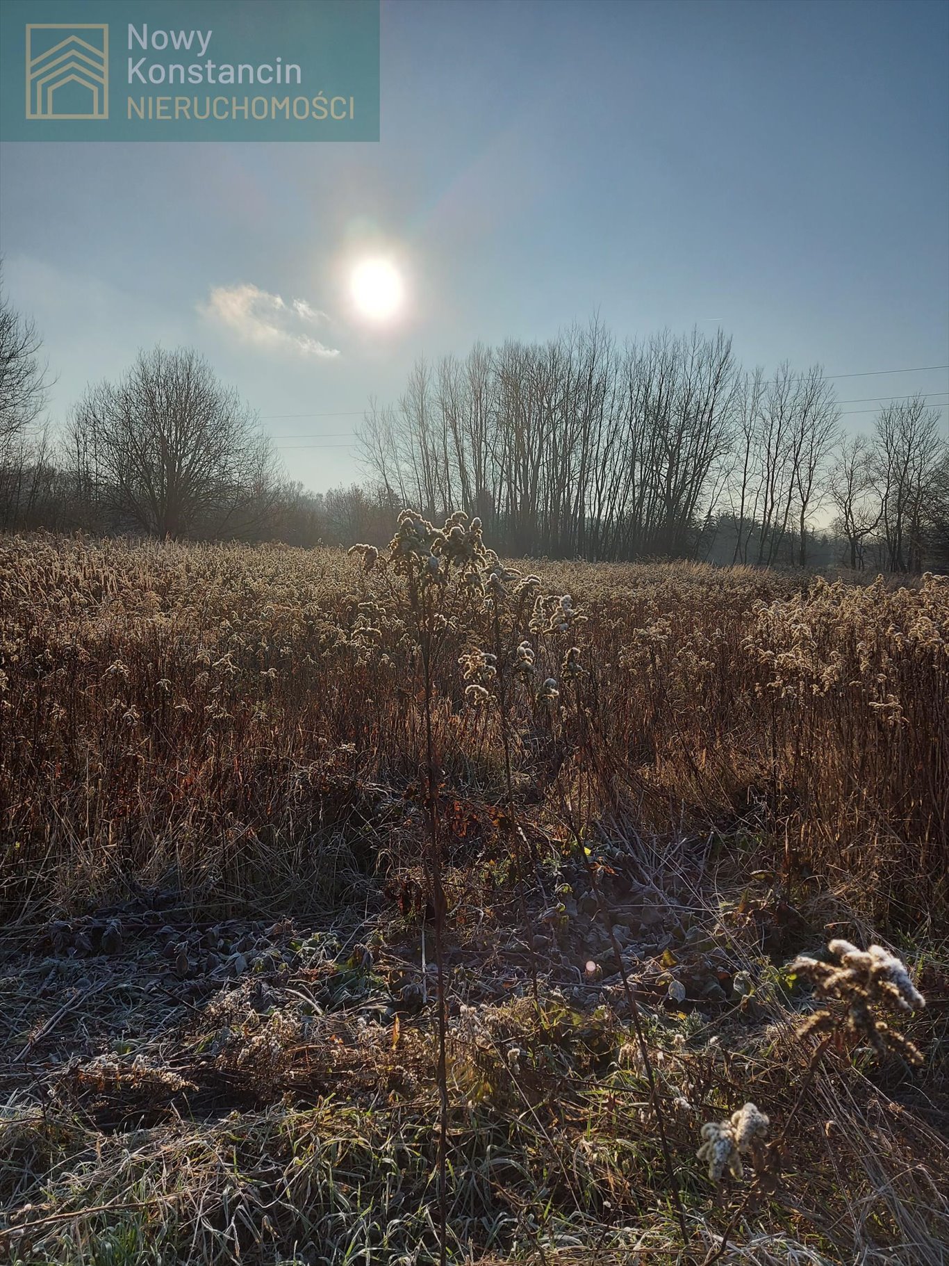 Działka budowlana na sprzedaż Cieciszew  4 000m2 Foto 4