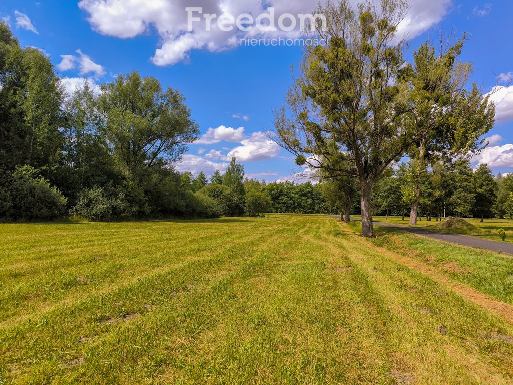 Działka siedliskowa na sprzedaż Bieganów, Poziomkowa  7 000m2 Foto 4