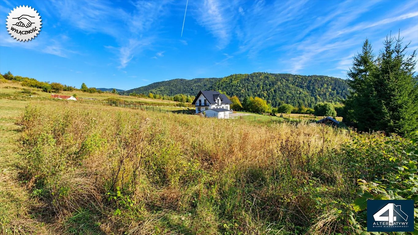 Polecam widokową działkę 13,04 a w Kamienicy z MPZP Kamienica, Kamienica DW968  1 304m2 Foto 1