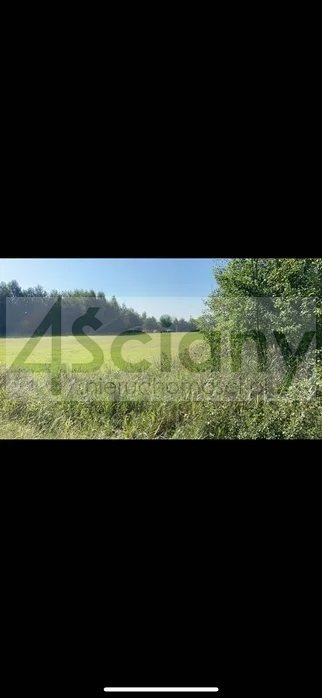 Działka budowlana na sprzedaż Zełwągi  7 900m2 Foto 1