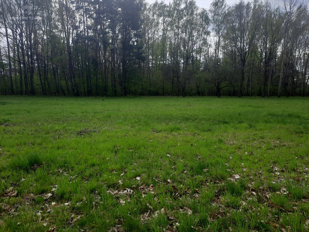Działka budowlana na sprzedaż Nowy Prażmów, al. Główna  2 119m2 Foto 2
