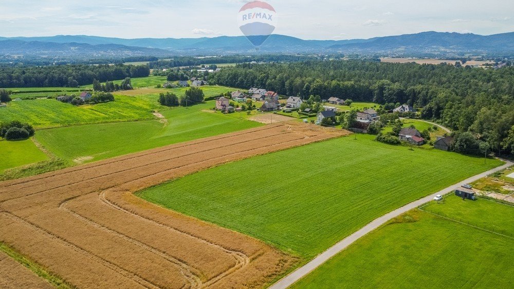 Działka rolna na sprzedaż Nidek, Różana  14 791m2 Foto 2