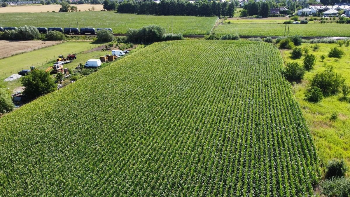 Działka budowlana na sprzedaż Iwiny, Franza Petera Schuberta  10 200m2 Foto 1