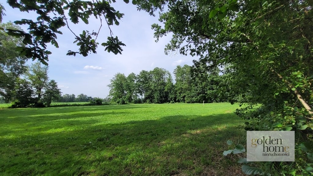 Działka budowlana na sprzedaż Kąkolewo, Albertowsko  5 000m2 Foto 5