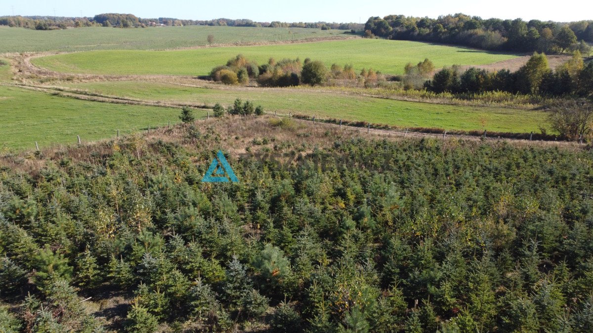 Działka budowlana na sprzedaż Węgorzynko  1 569m2 Foto 8