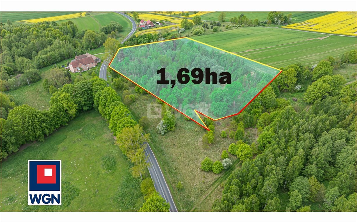 Działka inna na sprzedaż Nawojów Łużycki, Nawojów Łużycki  10 690m2 Foto 1