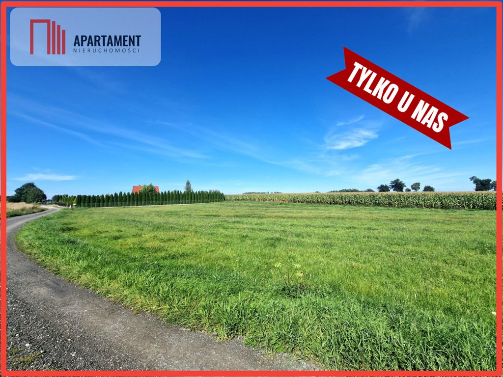 Działka 4010 m² z warunkami zabudowy i widokiem na las Krojanty  4 010m2 Foto 1