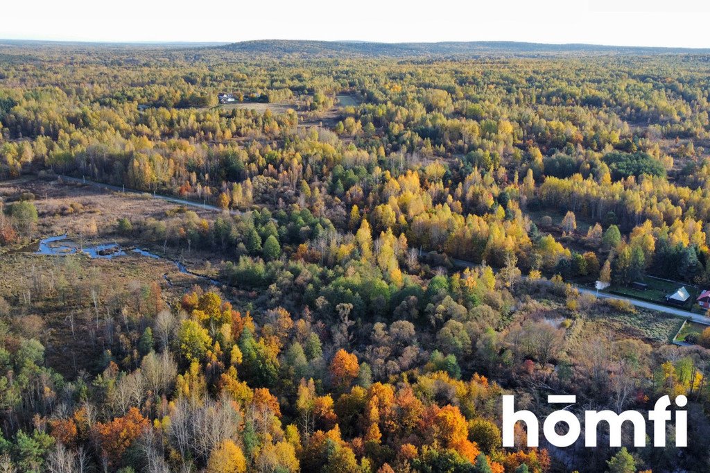 Działka inna na sprzedaż Rusinów  9 100m2 Foto 6