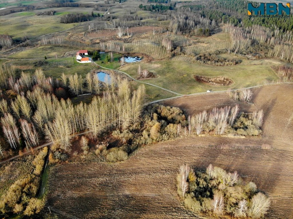 Działka budowlana na sprzedaż Wyłudy, Wyłudy  38 864m2 Foto 8