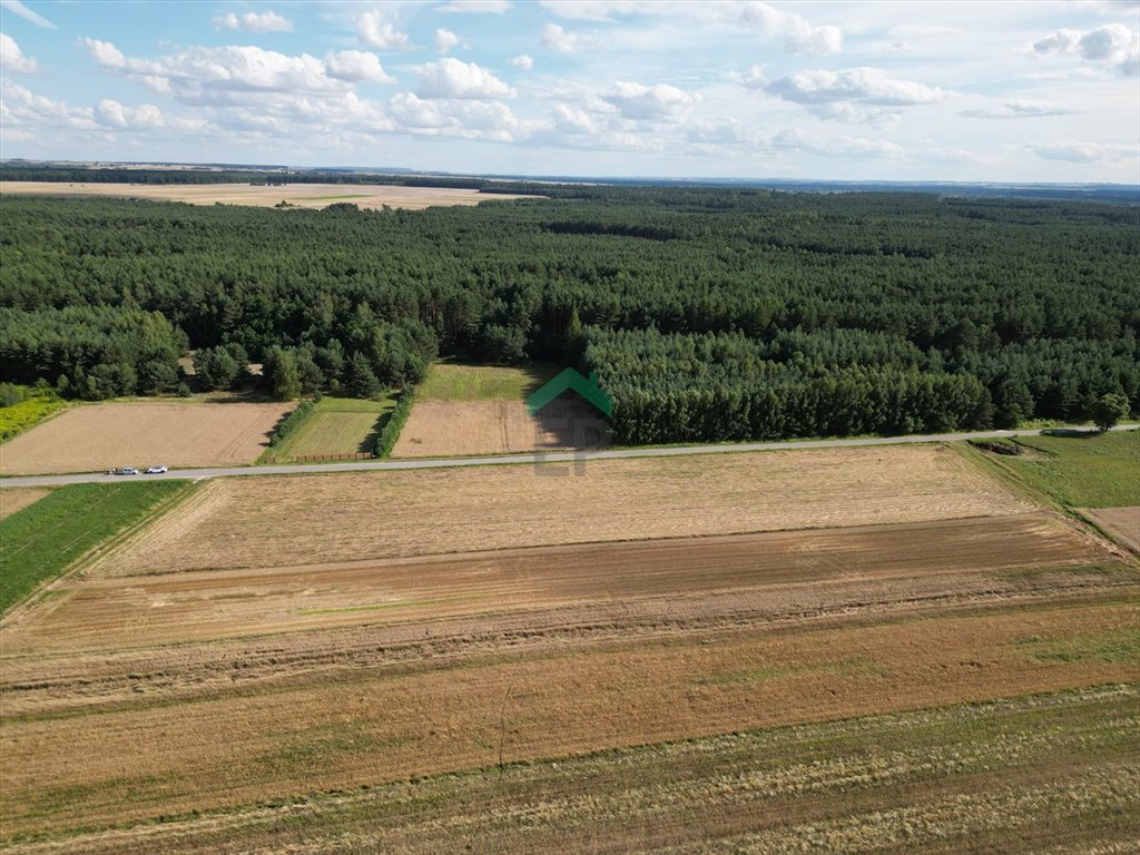 Działka budowlana na sprzedaż Dąbrówka  1 569m2 Foto 4