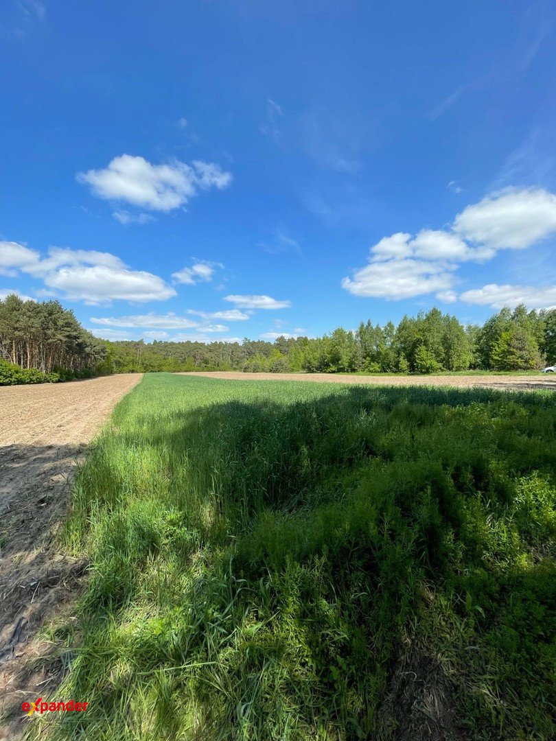 Działka rolna z lasem i potencjałem rekreacyjnym - polecam! Szałe, Południowa  9 500m2 Foto 1