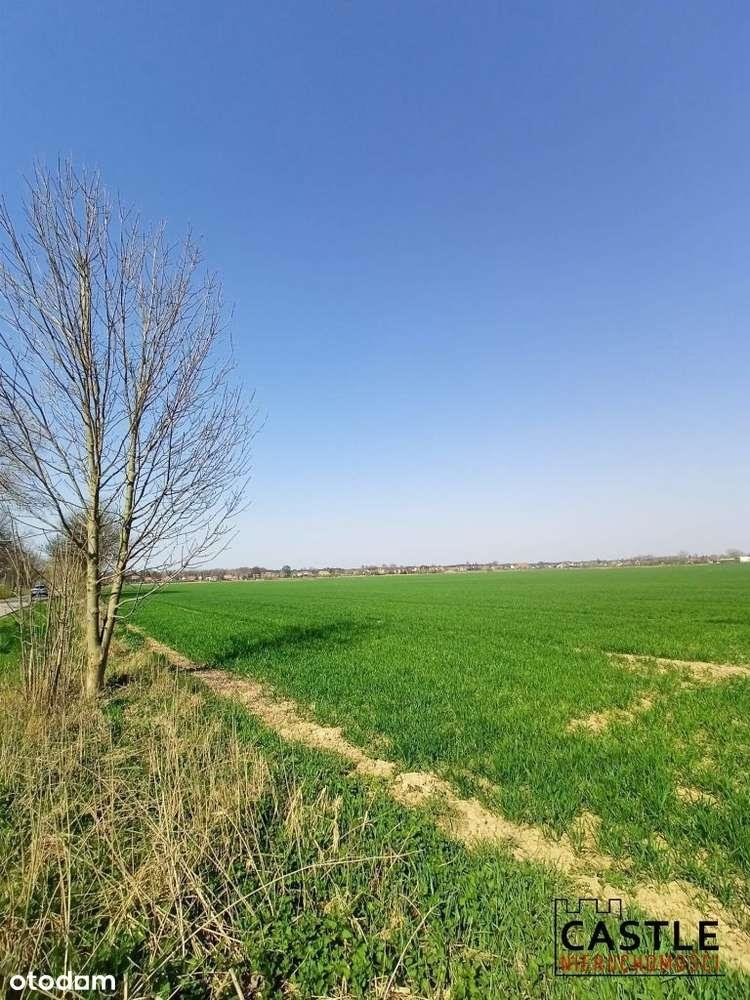 Działka rolna na sprzedaż Sztutowo  3 000m2 Foto 1