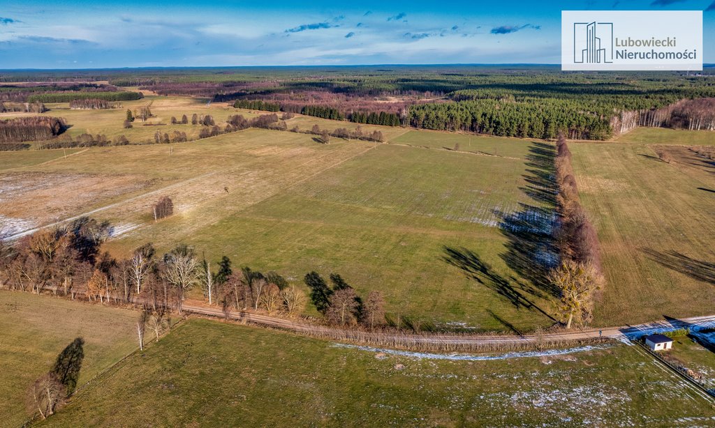 Działka budowlana na sprzedaż Wyżegi  1 794m2 Foto 7