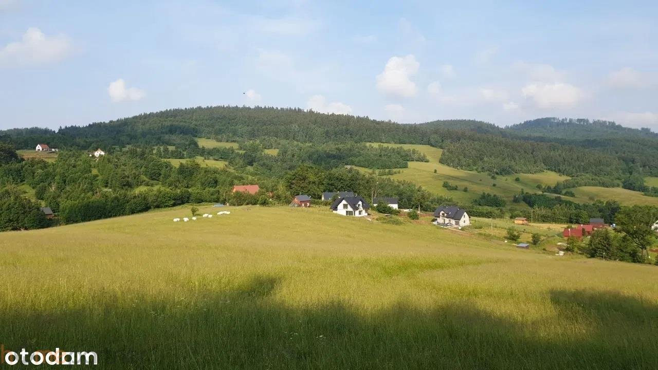 Działka rolna na sprzedaż Walim, Adama Mickiewicza  3 566m2 Foto 11