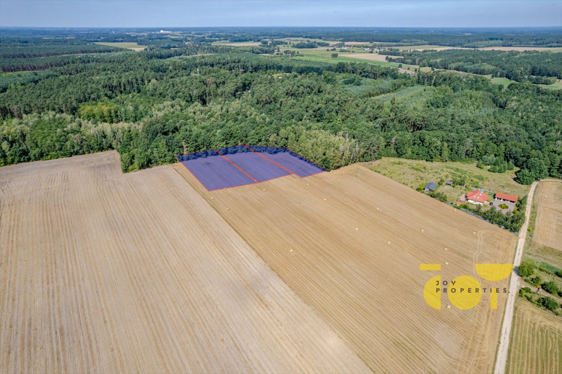 Działka rolna na sprzedaż Przepitki  9 000m2 Foto 9