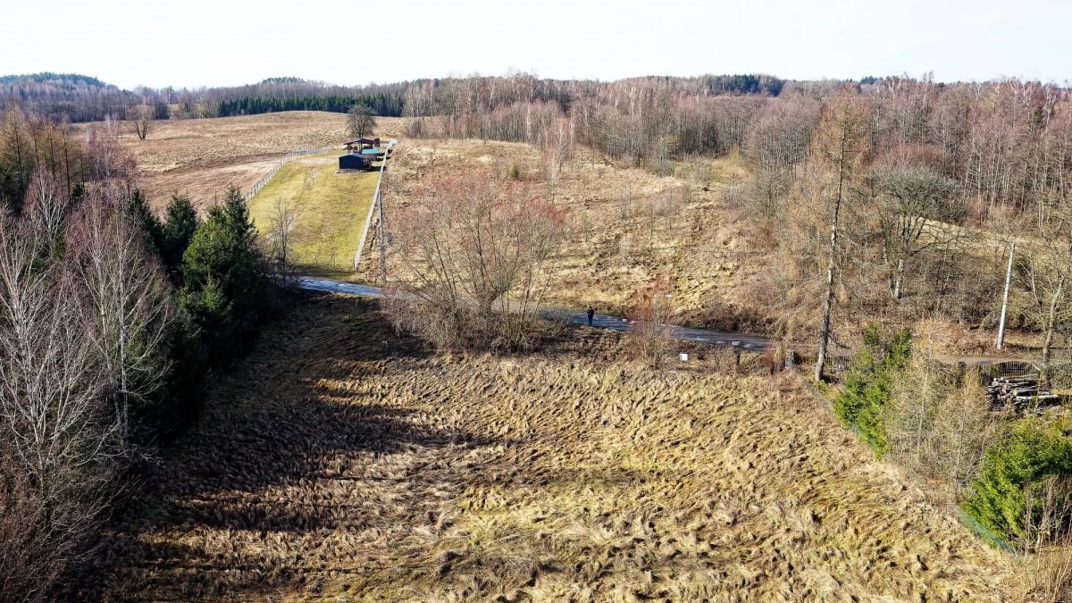 Działka budowlana na sprzedaż Płociczno  8 800m2 Foto 4