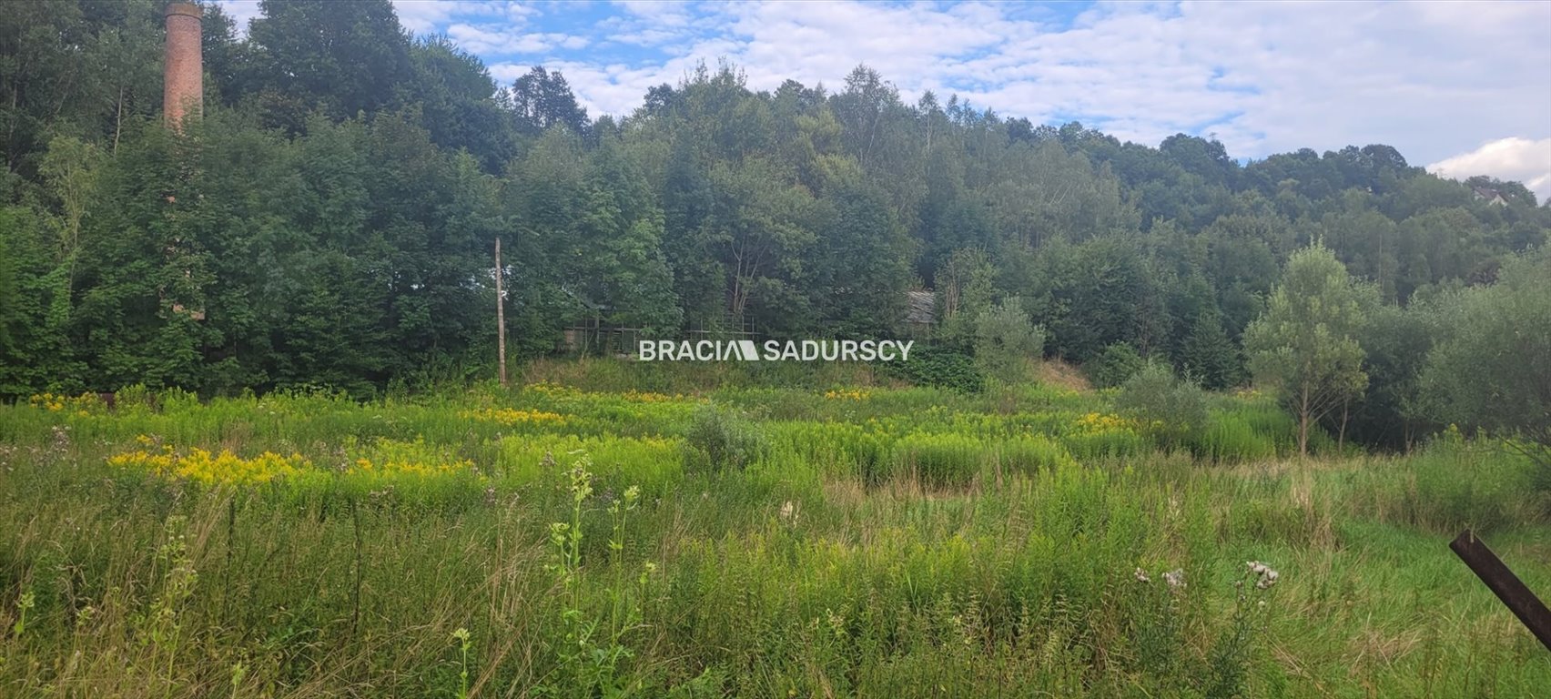 Działka budowlana na sprzedaż Nowy Sącz, Piątkowa, Lwowska  8 600m2 Foto 1