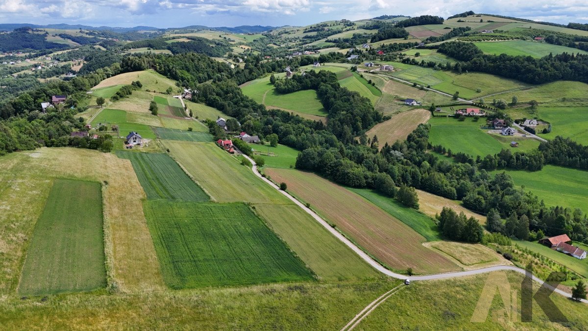 Działka budowlana na sprzedaż Sienna  3 100m2 Foto 10