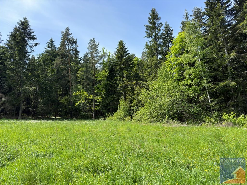 Działka leśna na sprzedaż Podłopień  5 200m2 Foto 5