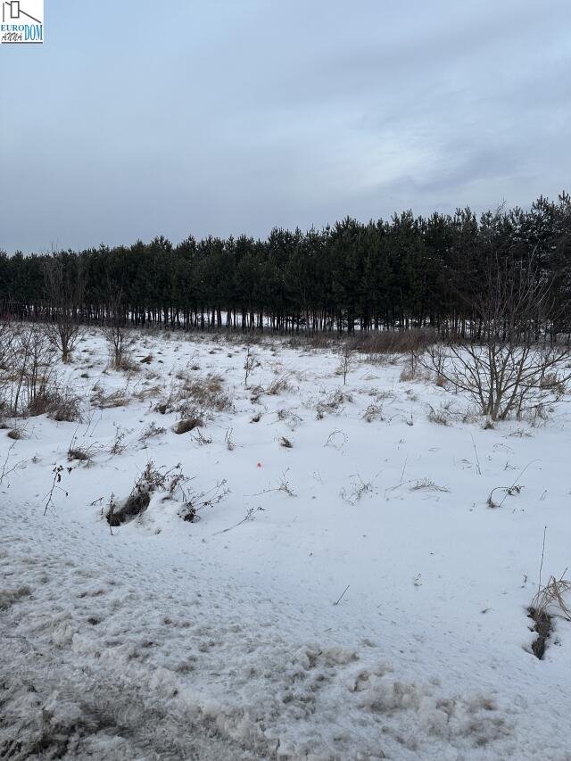 Działka budowlana na sprzedaż Dąbie  760m2 Foto 3