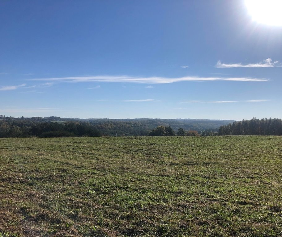 Działka budowlana na sprzedaż Czarna Dąbrówka  1 000m2 Foto 1