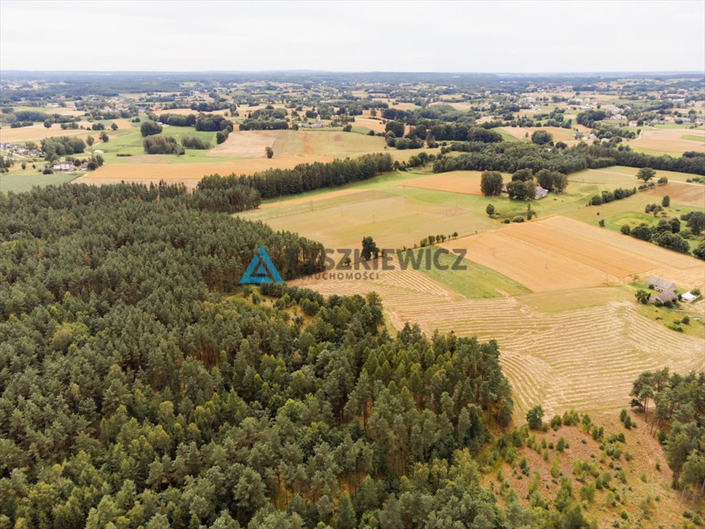 Działka rolna na sprzedaż Załęże, Kasztanowa  3 000m2 Foto 4