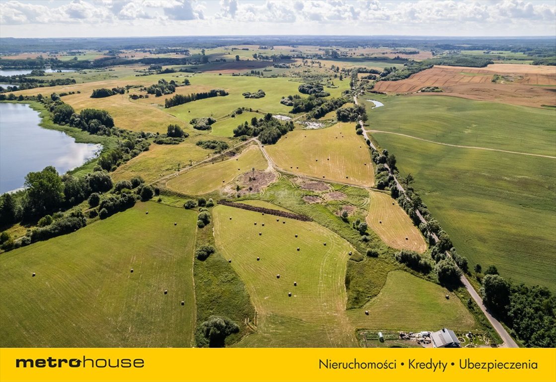 Działka siedliskowa na sprzedaż Jeziorany Kolonie  23 800m2 Foto 4