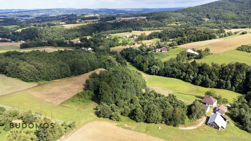 Działka rolna na sprzedaż Dębowa  7 200m2 Foto 4