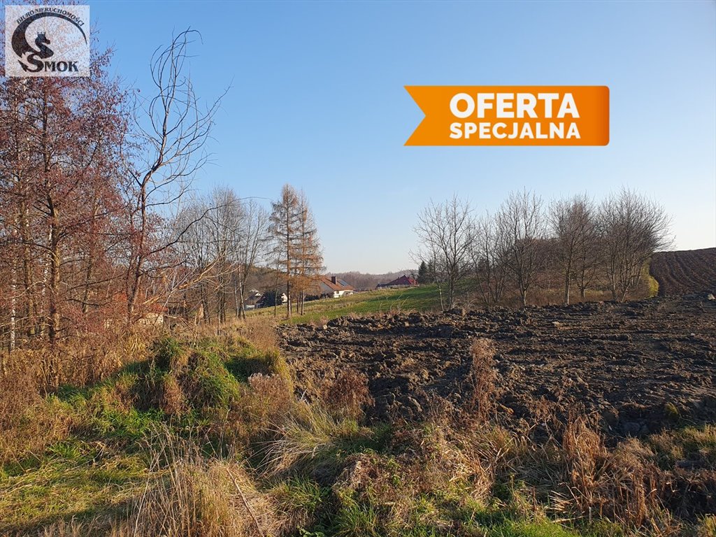 Działka budowlano-rolna 4,5 ha z planem pod zabudowę Bodzanów  4 500m2 Foto 1