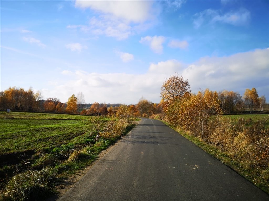 Działka budowlana na sprzedaż Pisarzowice  5 700m2 Foto 2