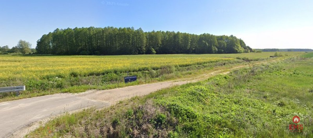 Działka 3000 m² z warunkami zabudowy i dostępem do rzeczki Rzepniki  3 000m2 Foto 1