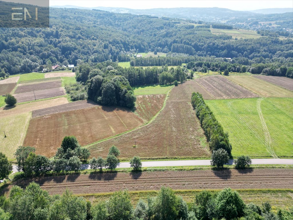 Działka budowlana na sprzedaż Konieczkowa  4 600m2 Foto 9