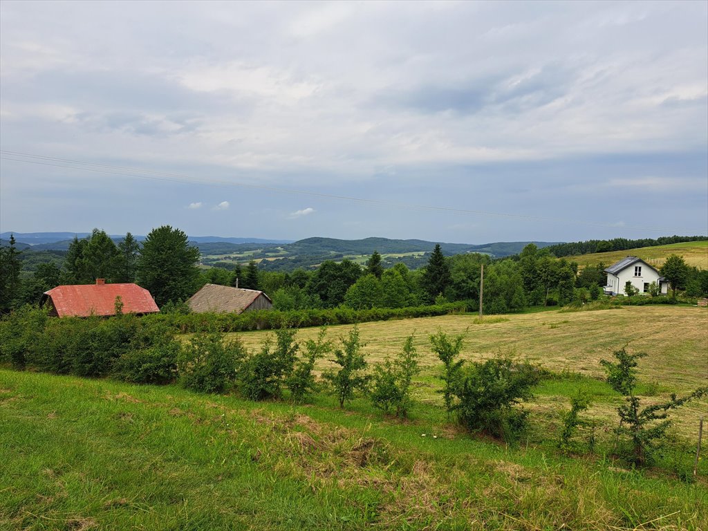 Działka rolna na sprzedaż Niebocko  2 860m2 Foto 6