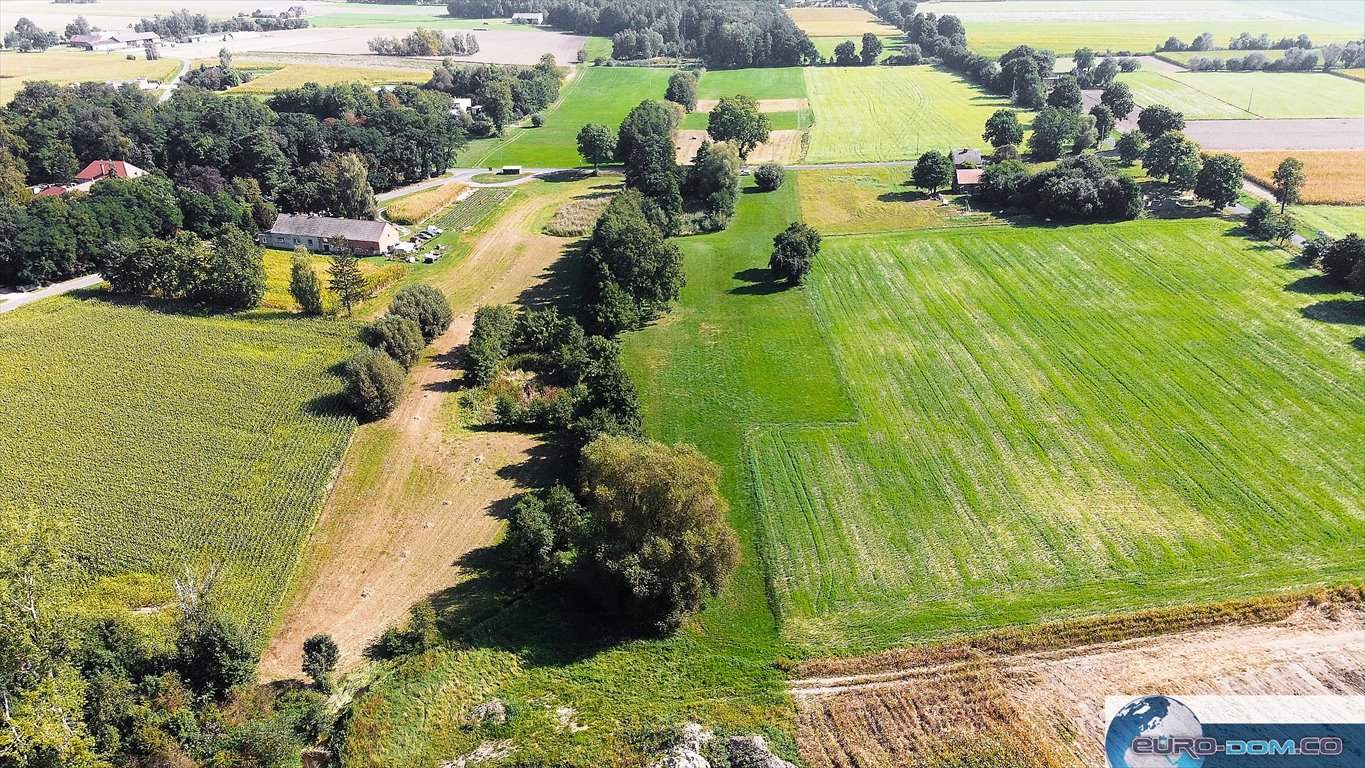 Działka budowlana na sprzedaż Borucin  15 658m2 Foto 6