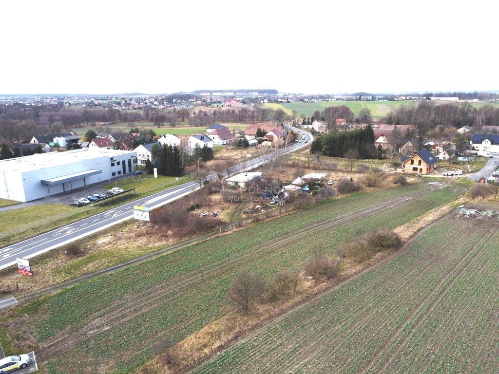 Działka komercyjna na sprzedaż Kruszyn, Świerkowa  3 874m2 Foto 5