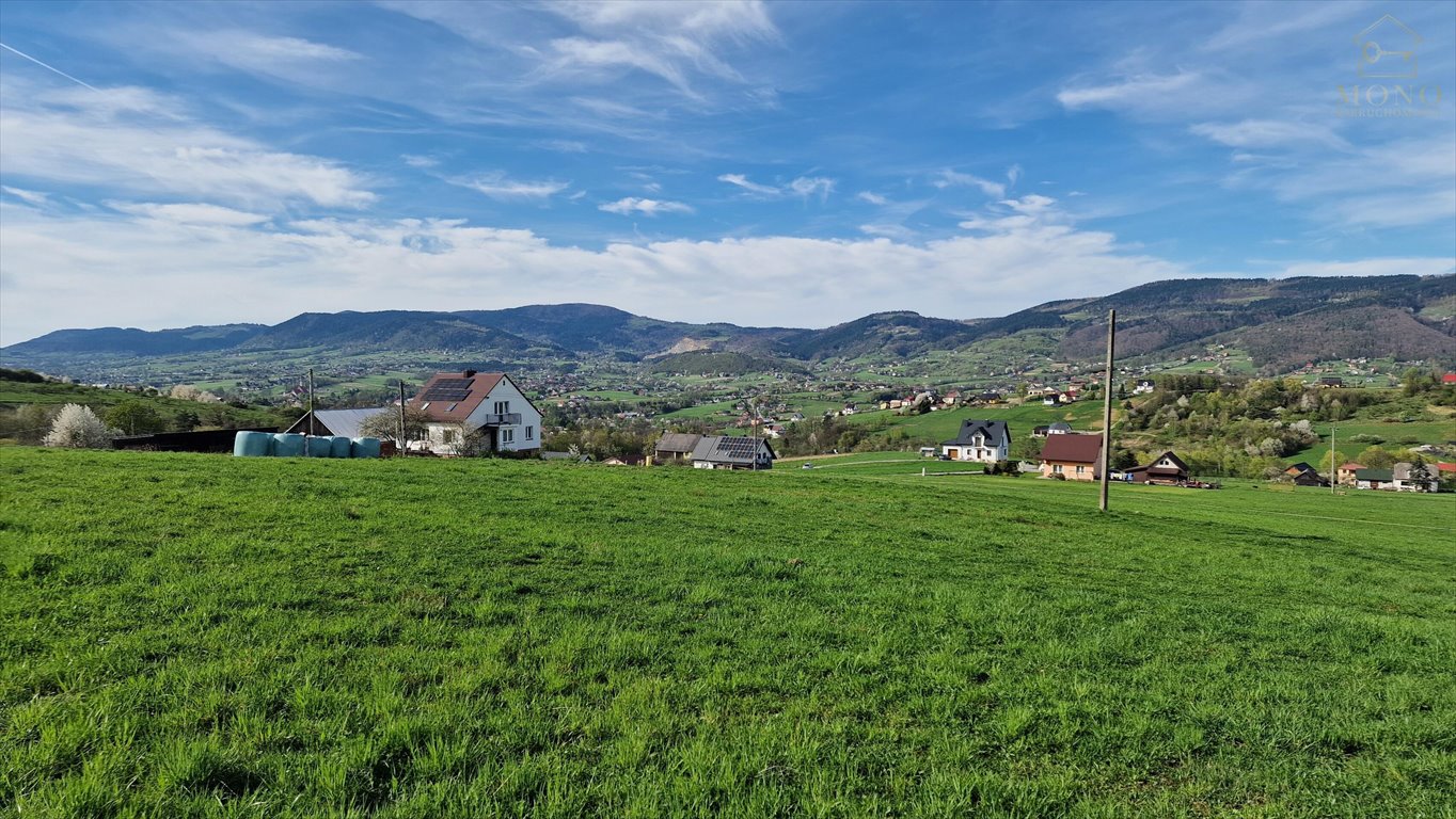 Działka rolna na sprzedaż Krasne Potockie  8 200m2 Foto 3