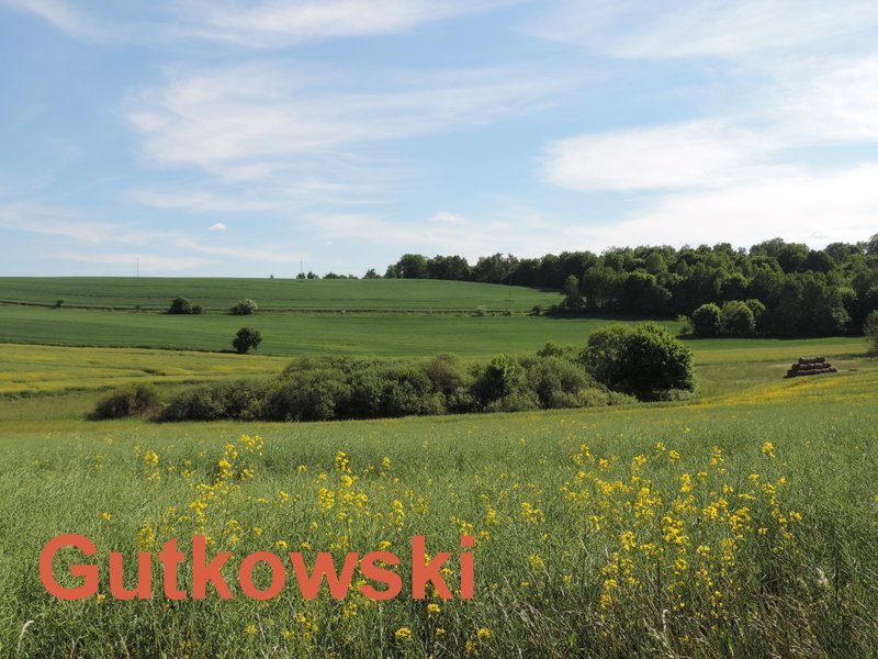 Działka rolna na sprzedaż Lekarty, Gmina Nowe Miasto Lubawskie  3 061m2 Foto 1