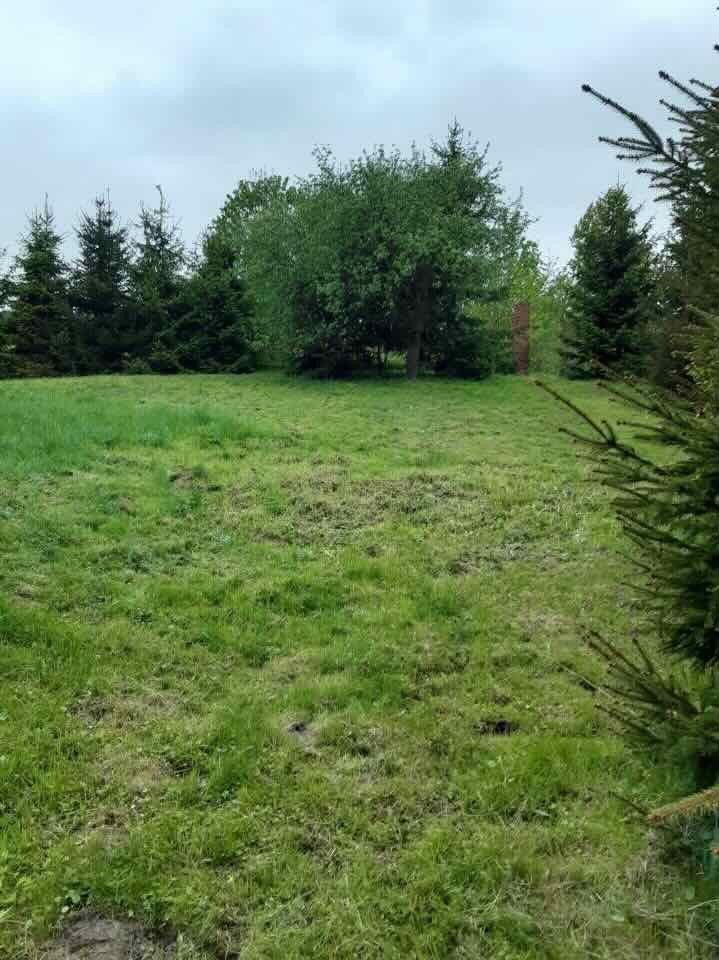 Działka budowlana na sprzedaż Wilcza  2 400m2 Foto 3