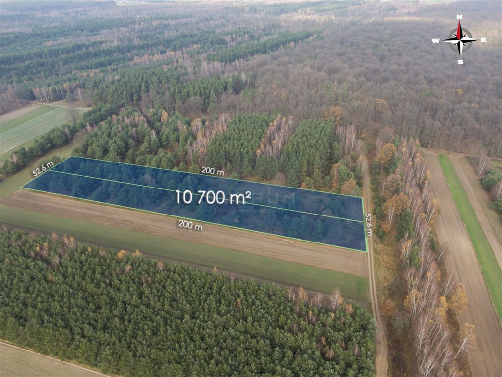 Działka leśna na sprzedaż Jedlno Pierwsze  10 700m2 Foto 2