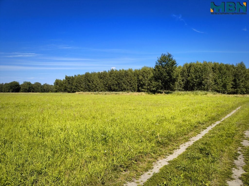 Działka budowlana na sprzedaż Harsz, Harsz  3 337m2 Foto 3