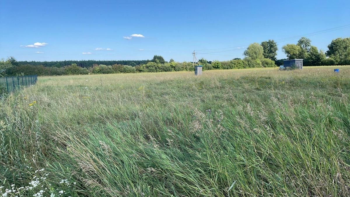 Działka budowlana na sprzedaż Studzieniec, Międzylesie  1 000m2 Foto 1