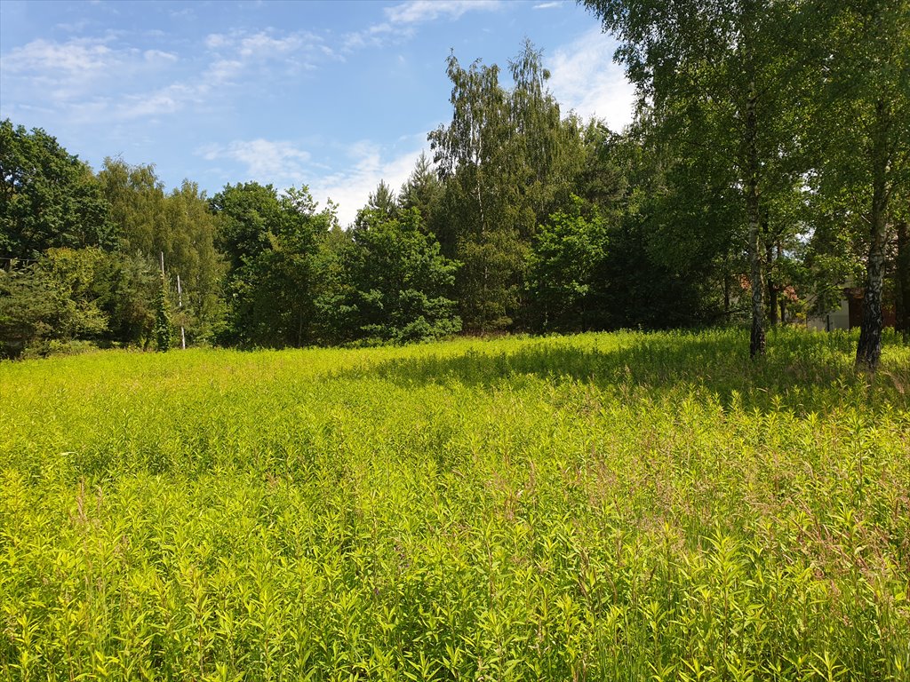 Działka budowlana na sprzedaż Nowy Prażmów  1 029m2 Foto 2