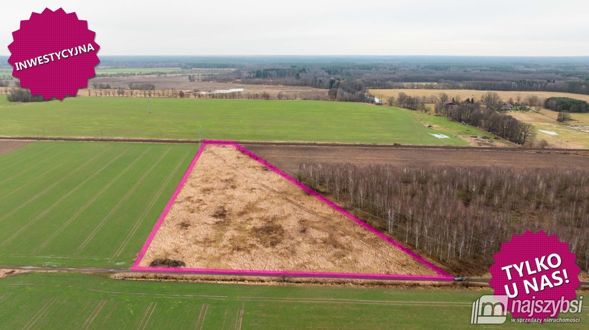 Działka rolna 2,22 ha pod inwestycję z linią napięcia Dzisna  22 000m2 Foto 1