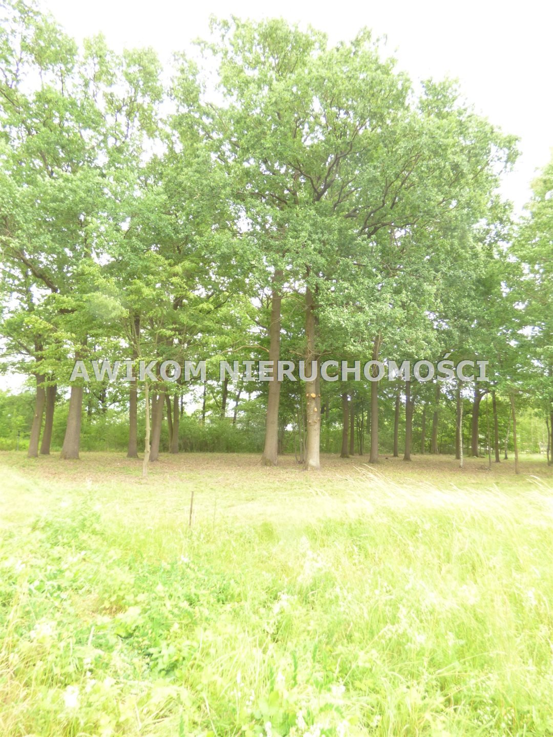 Działka budowlana na sprzedaż Rusiec  1 725m2 Foto 1